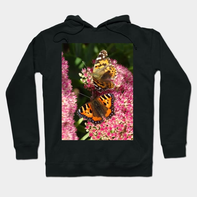 Painted lady and the Tortoiseshell Hoodie by AH64D